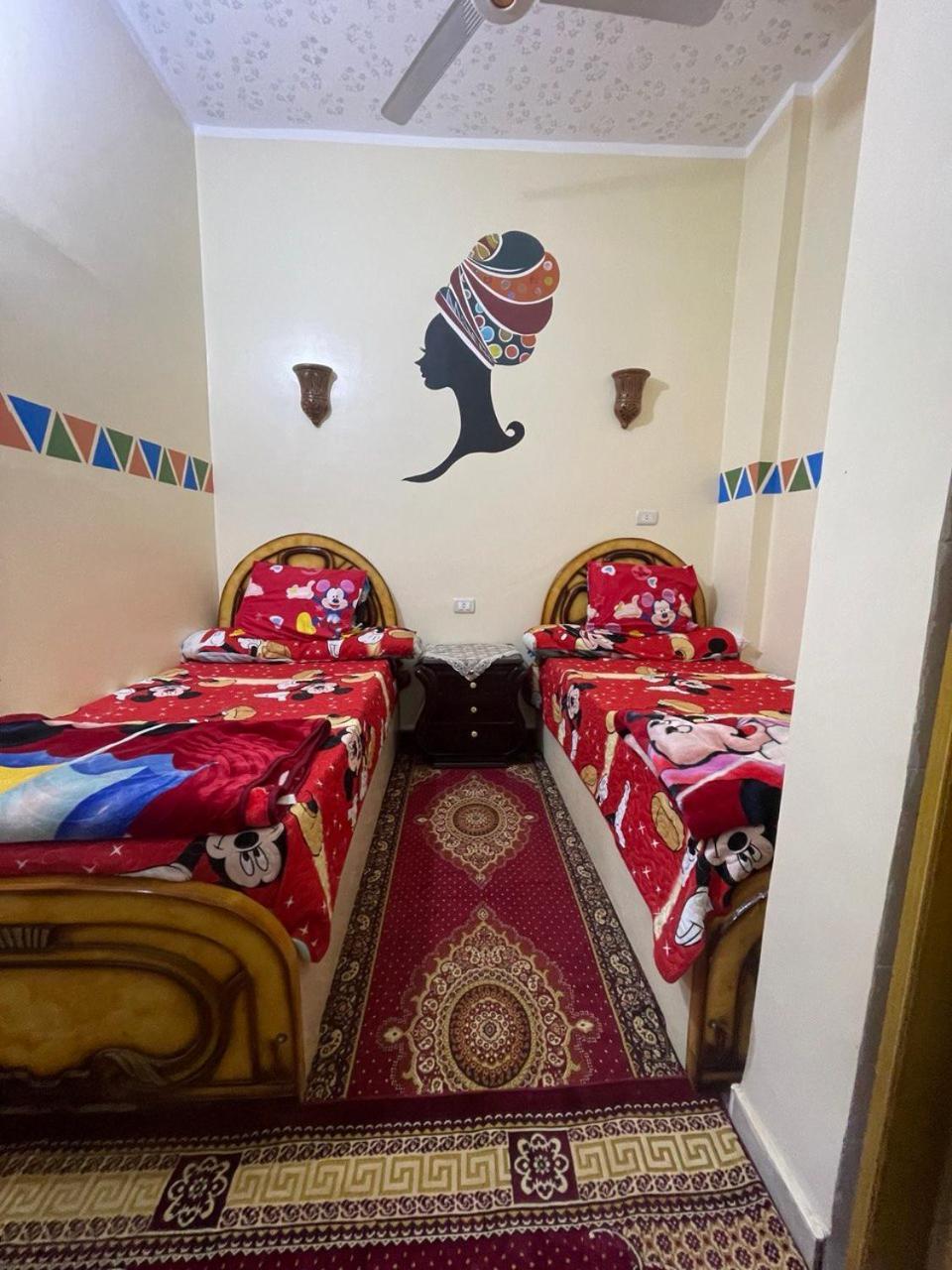Shater Nubian House アスワン エクステリア 写真