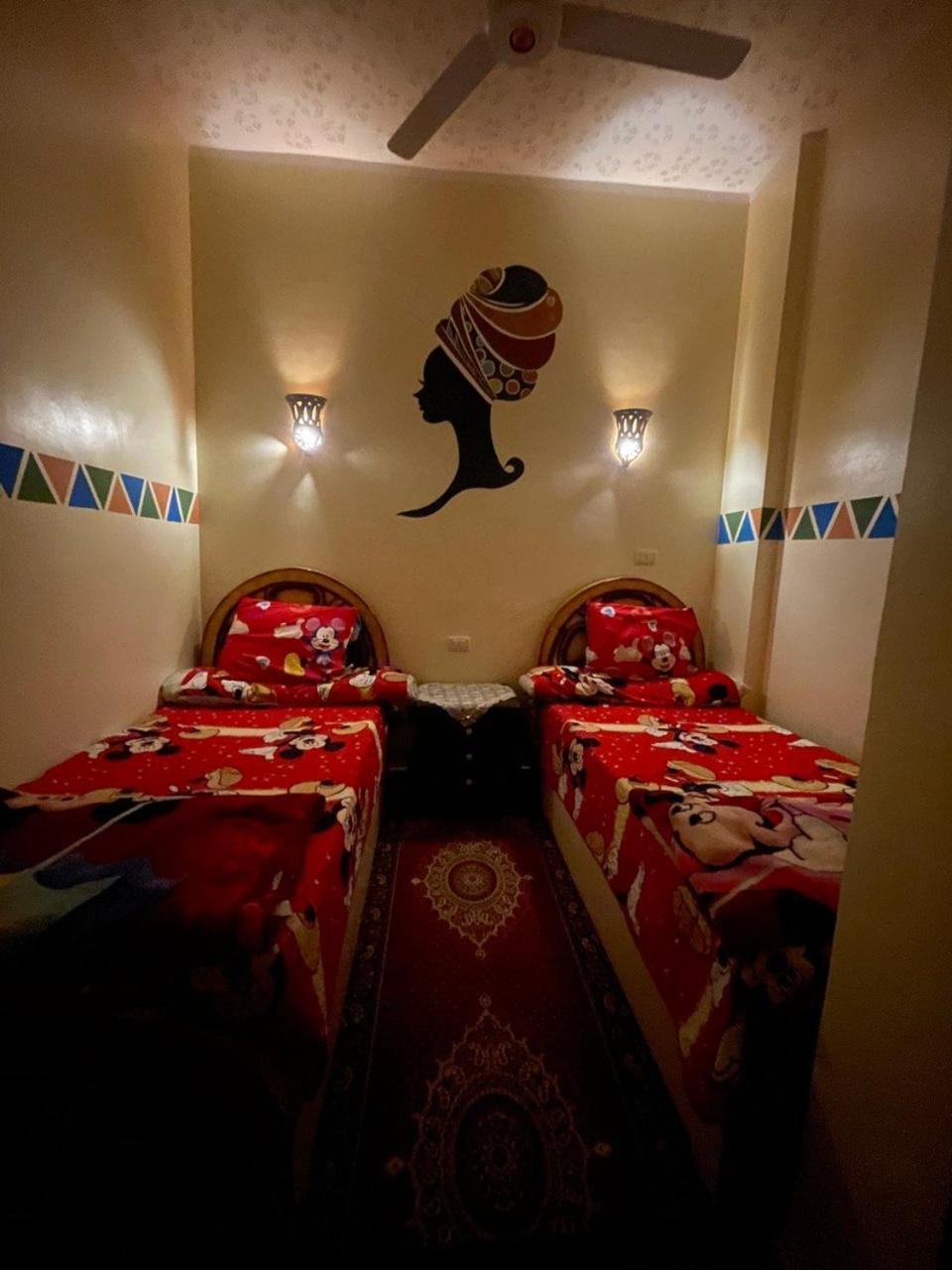 Shater Nubian House アスワン エクステリア 写真