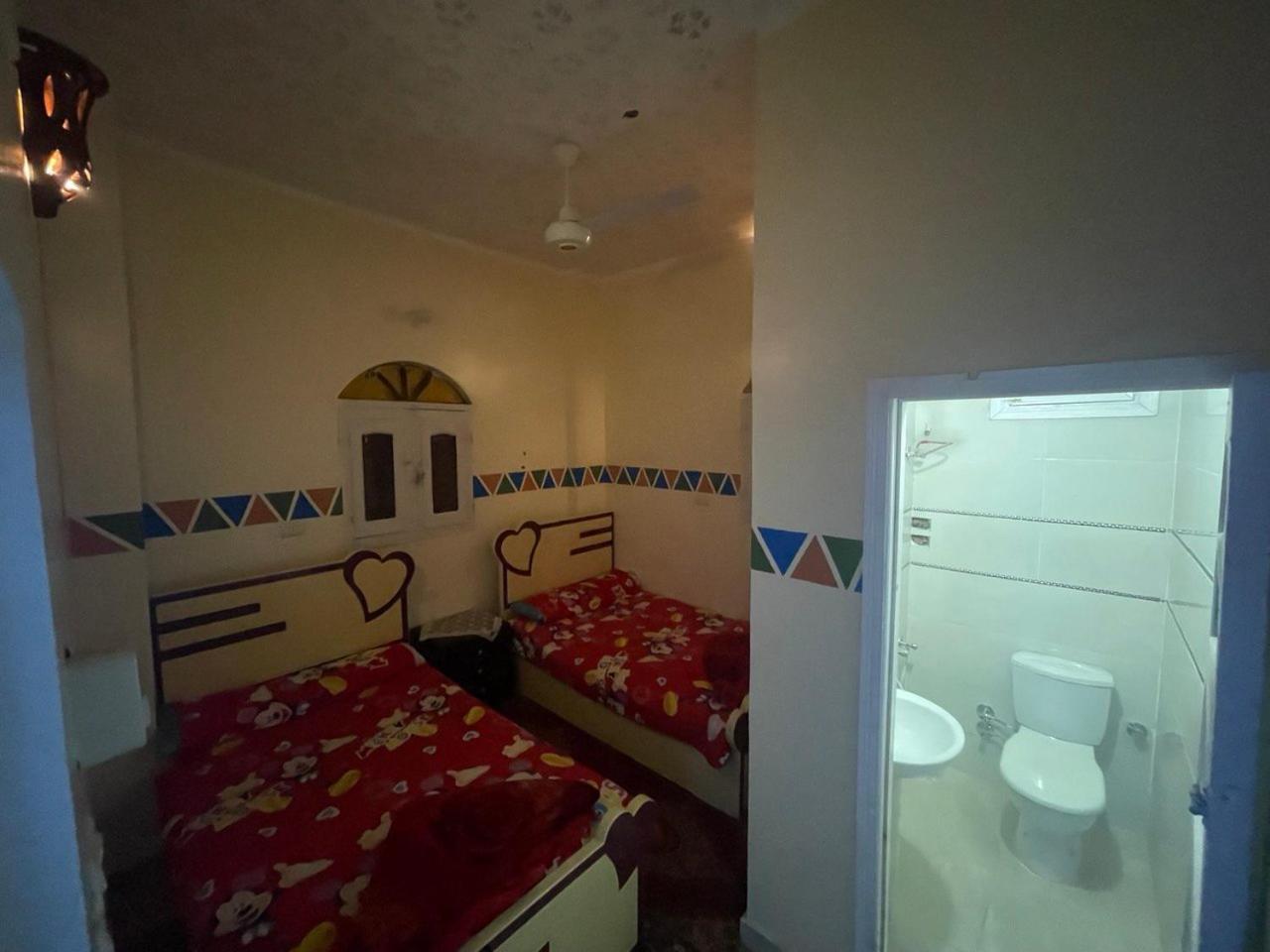 Shater Nubian House アスワン エクステリア 写真
