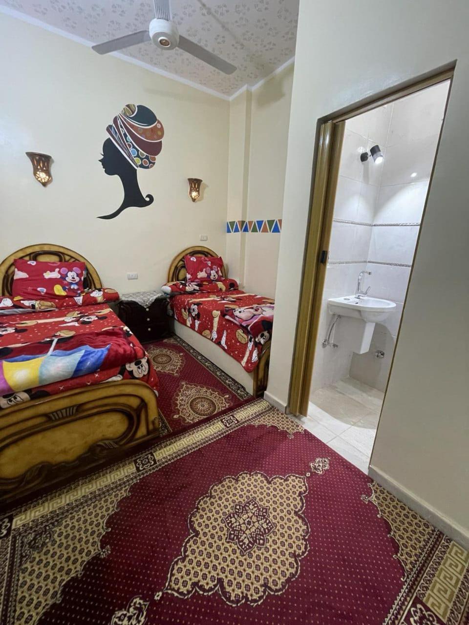 Shater Nubian House アスワン エクステリア 写真