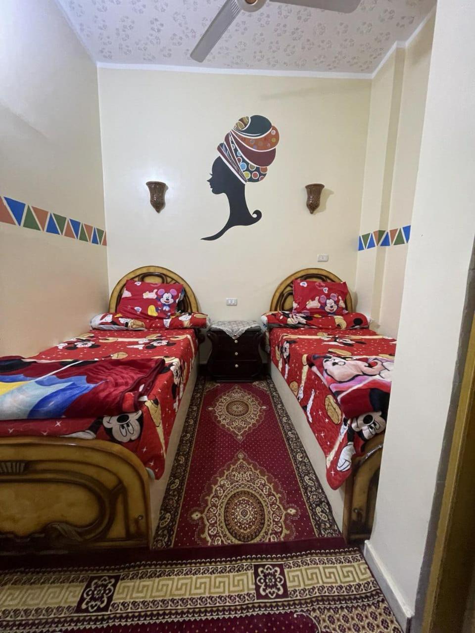 Shater Nubian House アスワン エクステリア 写真