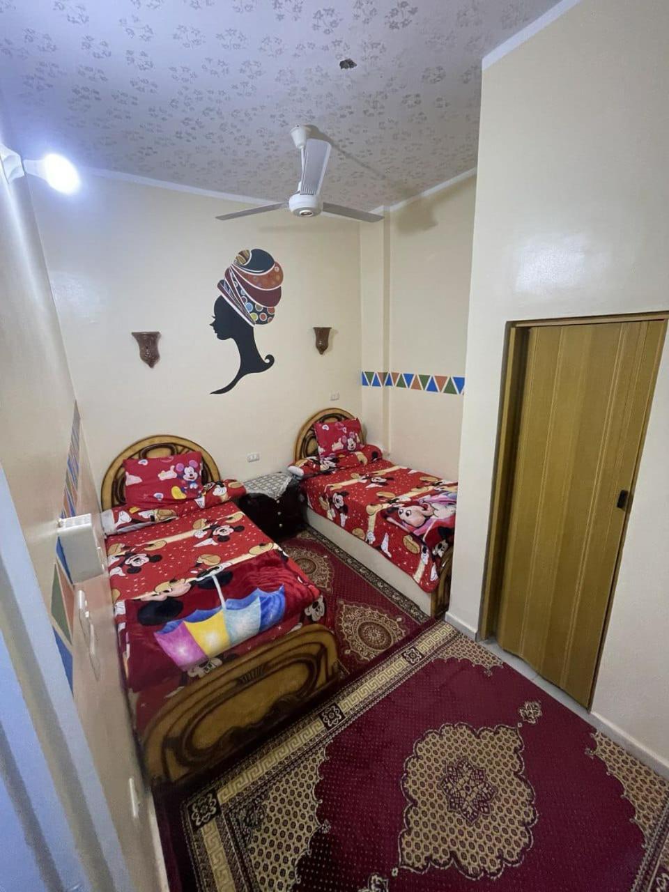 Shater Nubian House アスワン エクステリア 写真