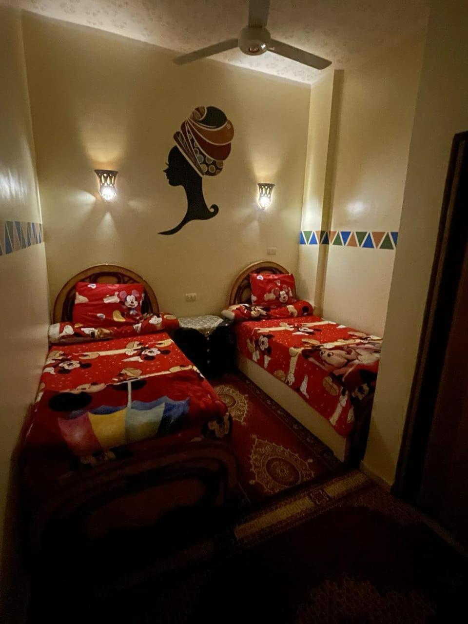 Shater Nubian House アスワン エクステリア 写真