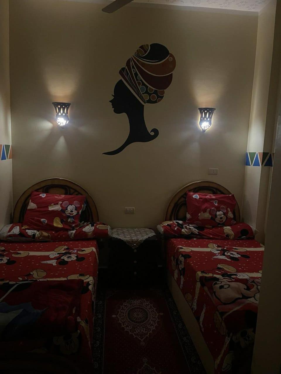 Shater Nubian House アスワン エクステリア 写真