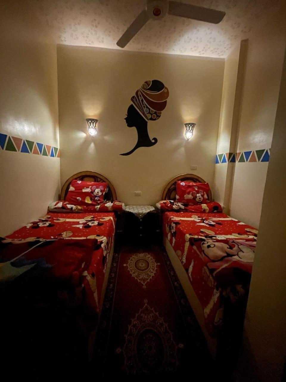 Shater Nubian House アスワン エクステリア 写真